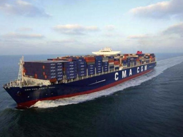 大型项目服务案例 